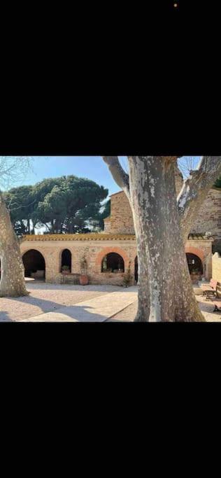 Torreilles-Casa Terracota-Proche Plage - Les Deferlantes Le Barcares - South Of France Extérieur photo